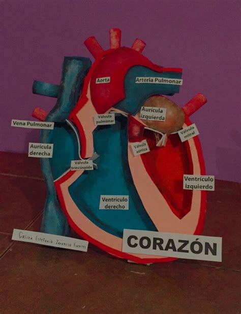 Maqueta de corazón Corazon maqueta Imagenes de maquetas Maquetas