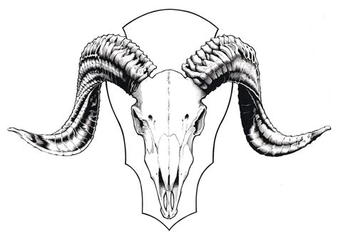 Ram Skull Illustration By Kiergill On Deviantart