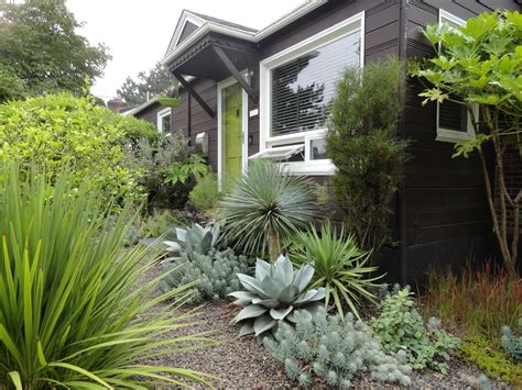 Older, established shrubs occasionally need reshaping and removal of dead or thick stems to look attractive. Pin by Charlette Miller on Ranch exterior | Ranch exterior ...