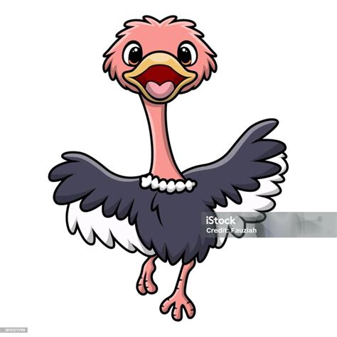 Cute Ostrich Cartoon On White Background Stock Illustration Download