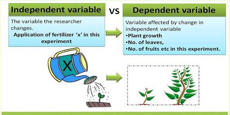 Independent vs. dependent variables