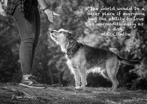 Dog Best Friend Quotes And Pics By I Am Photo Photography Dog Best