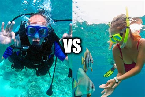 Snorkeling Vs Scuba Diving — Ultimate Gear Lists
