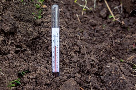 Soil Temperature And Planting Crops