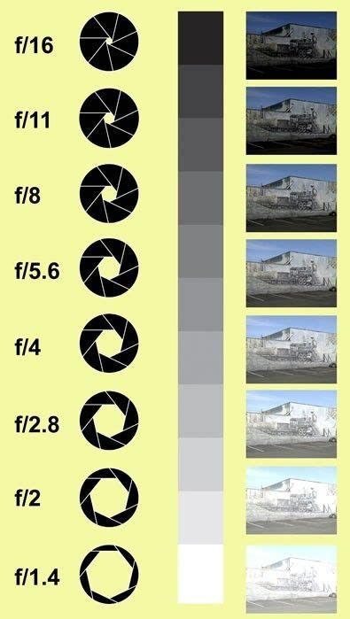 Aperture Explained In Pictures Really Helpful For Beginners