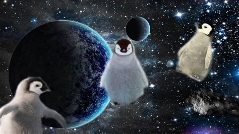 Penguins In Space Youtube