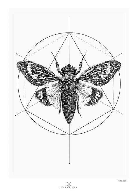 Cicada Art Green Insect Cicada Bug An Art Print By G Goularte Inprnt