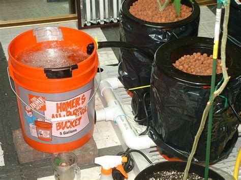 recirculating-deep-water-culture-5-gallon-system-thcfarmer-cannabis