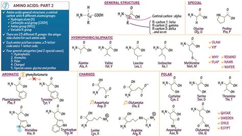 Mcat Biology And Biochemistry Amino Acid Structures Part Ii Ditki