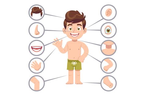 Parts of the body is an essential topic when teaching english to kids / beginner students. Kid body parts. Human child boy with eye, nose and chest ...