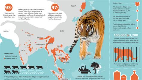 Sumatran Tiger Data