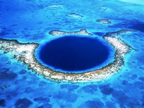 Since 1996 the belize barrier reef has been designated as a unesco world heritage site in recognition of its importance as a marine habitat and global natural resource. Belize Barrier Reef | Exploration Exploration