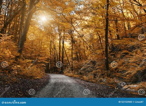Autumn Forest Road Stock Photo Image Of Scenic Mountain 52152900