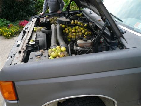 Maybe you would like to learn more about one of these? Cabin Air filter filthy - Page 2 - Toyota 4Runner Forum ...