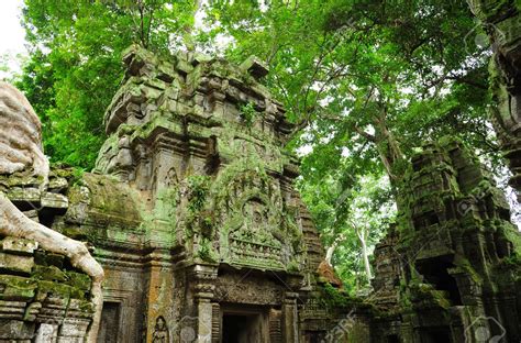 Ancient Ruins Of Ta Prohm Temple In The Jungle Of Cambodia Arte
