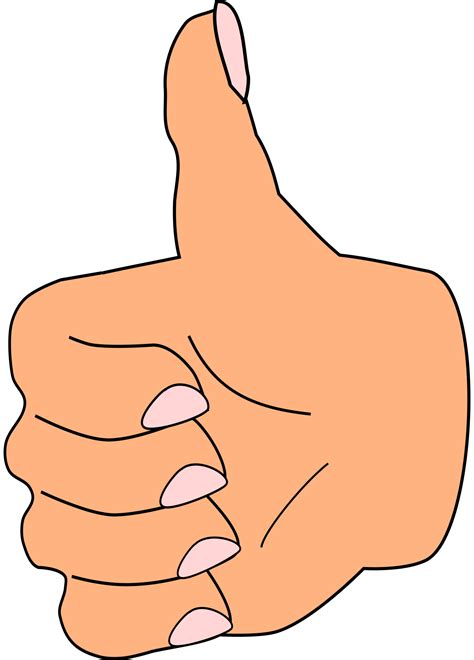 Thumbs Up Clipart Free Images Wikiclipart My Xxx Hot Girl
