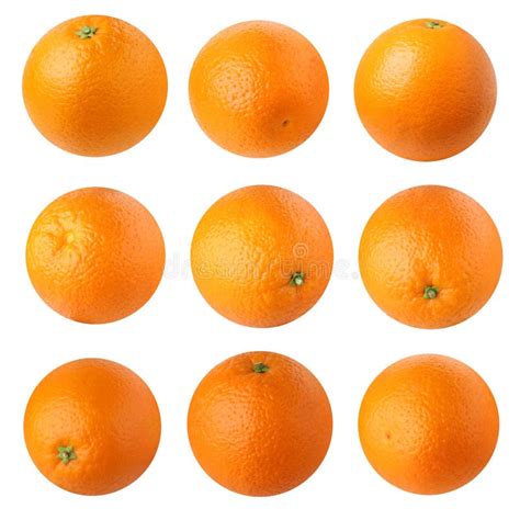 Oranges Isolated On A White Background Stock Image Image Of Skin