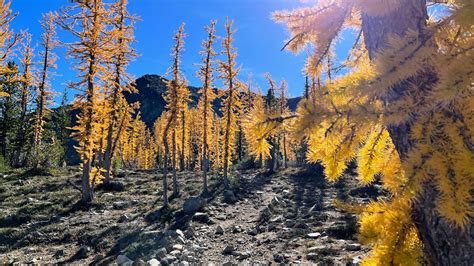Frosty Mountain Golden Larches Hike Manning Park Bc Canada Youtube