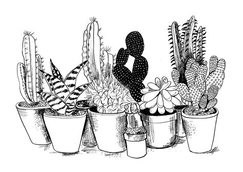 Cactus In Black And White Cactus Familly Cactus Home Decor Etsy