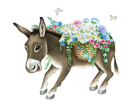 Laughing Donkey Illustrations Royalty Free Vector Graphics And Clip Art