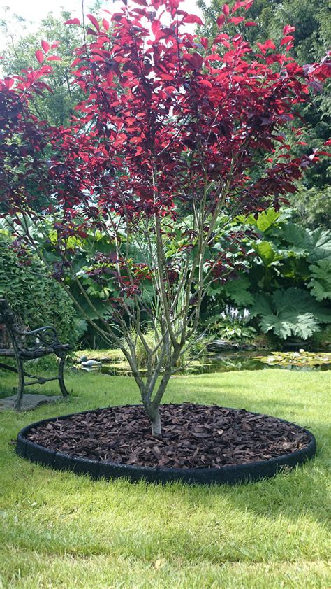 Corten metal lawn edging and metal garden edging is an inexpensive and easy landscaping idea. Garden Edging Flexible Border Garden Edge and Lawn ...