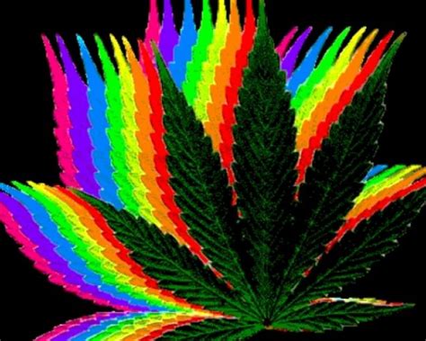 A wallpaper or background (also known as a desktop wallpaper, desktop background, desktop picture or desktop image on computers) is a digital image (photo, drawing etc.) used as a decorative background of a graphical user interface on the screen of a computer, mobile communications device or other electronic device. 45+ Trippy Rasta Wallpaper on WallpaperSafari