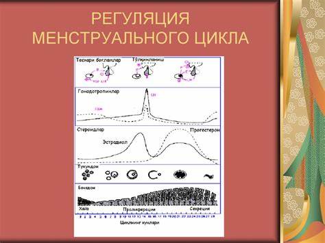 Диета и нарушение цикла