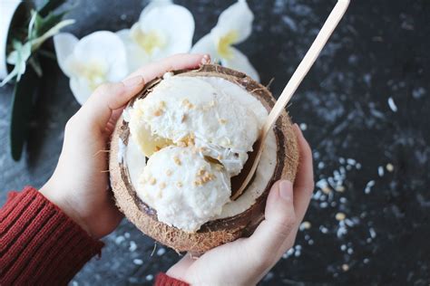 Vegan Coconut Ice Cream Cheap Wholesale Save 58 Jlcatjgobmx