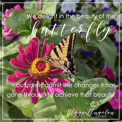 We delight in the beauty of the butterfly, but rarely admit the changes it has gone through to achieve that beauty. beauty of the butterfly | Church quotes, Maya angelou quotes, Inspiration