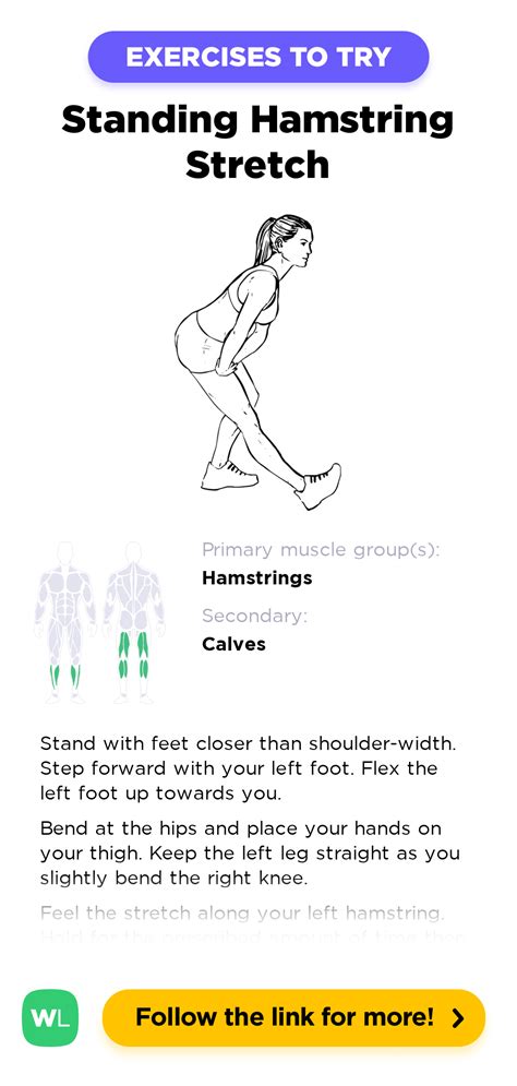 Standing Hamstring Stretch Workoutlabs Exercise Guide