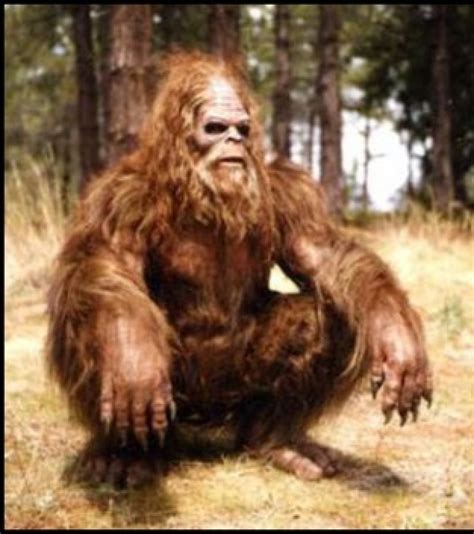 Bigfoot Conspiracy California Sued For Non Recognition Of Sasquatch