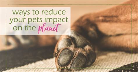 10 Tips On How To Reduce Your Pets Carbon Paw Print Good Girl Gone Green