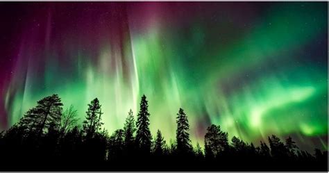 Look Up The Northern Lights Will Be Visible Over The Us Tonight