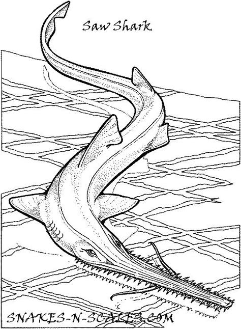 Give your child a fun and informative coloring page, sure to satisfy any shark fanatic! Clark The Shark Coloring Pages at GetColorings.com | Free ...