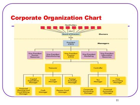 17 Finance Organization Structure Pics