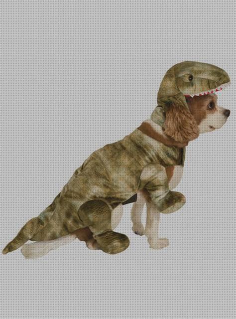 ⊛ Los 12 Mejores Disfraces De Dinosaurios Para Perros 【actualizado】