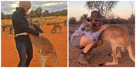 A Very Grateful And Affectionate Rescued Kangaroo Cant Stop Hugging Volunteers Who Saved Her Life
