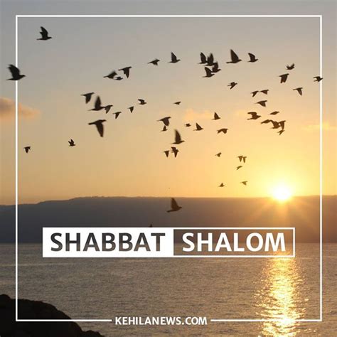 Shabbat Shalom Messianic Jewish News From Israel Kehila News