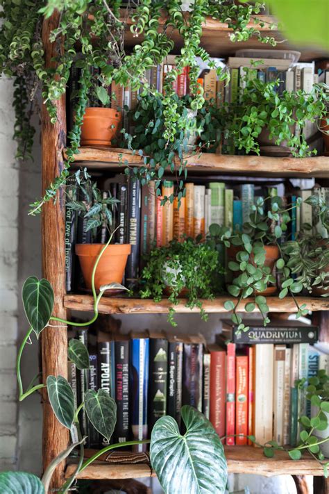 Living With 670 Plants In A Brooklyn Apartment