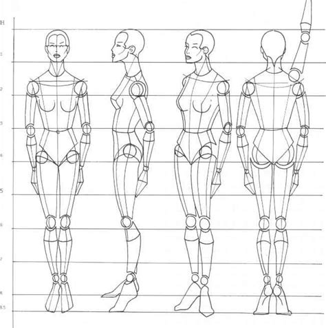 4 Key Exercises When Learning To Draw Human Body Drawing Human Body