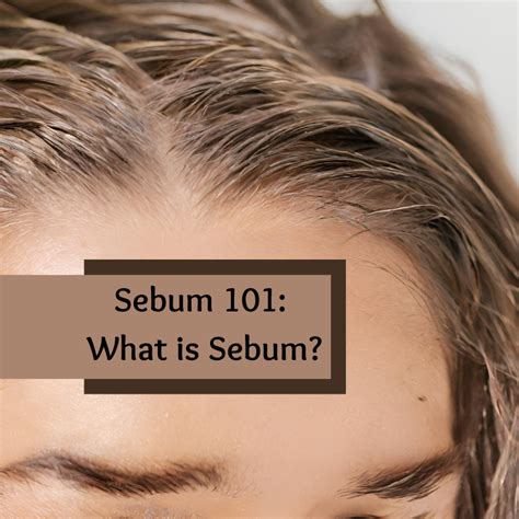 Sebum 101 What Is Sebum Keratin Salon Direct