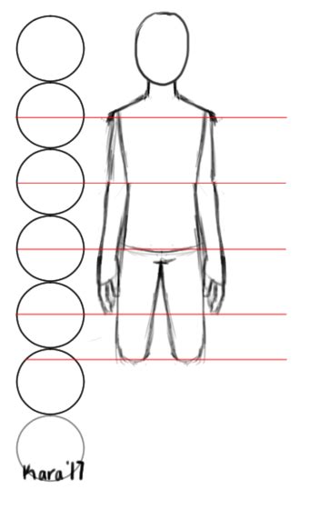 How To Draw Accurate Human Body Proportions 8 Steps