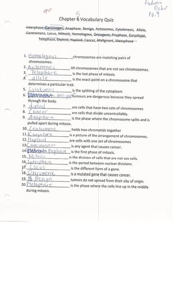 Identify what type of radioactive label was used in the bacteriophage and whether radioactivity was found in the bacteria. Enzyme, DNA, and Protein Synthesis - Aice Biology Portfolio