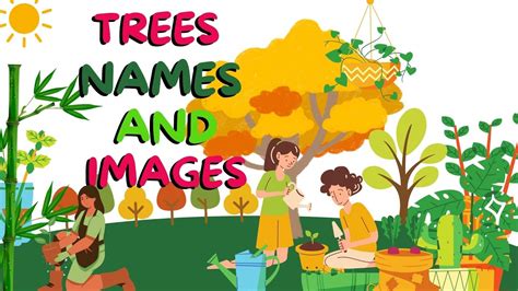 Tree Namesnames Of Trees In Englishnames Of Trees For Kidsnames Of