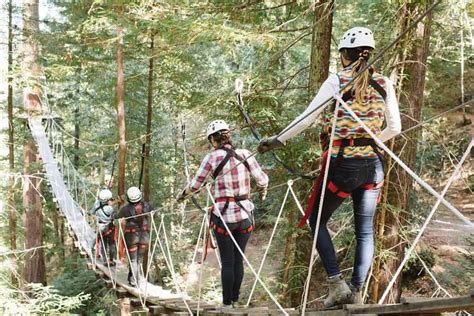 Sonoma zipline adventures, occidental, ca. Forest Flight Zipline Tour | Zip Lines In The Redwood Canopy
