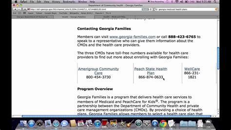 Centers for medicare & medicaid services. How to Apply for Georgia Medicaid and What Health Plans ...