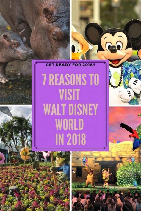 7 Reasons To Visit Walt Disney World In 2018 Traveling In Heels