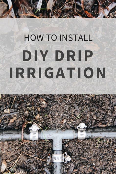 Drip irrigation will not only save you money on your water bill, but also time. DIY Drip Irrigation Systems: How to Install Drip Lines in ...