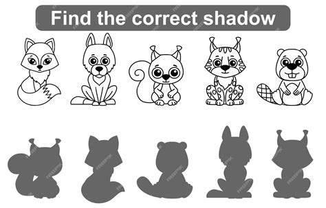 Premium Vector Find Correct Shadow Kids Educational Game Set Of