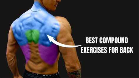 Back Compound Exercises Built With Science